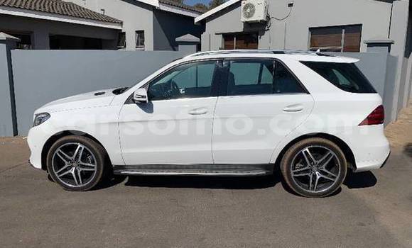 اشتري مستعمل Mercedes-Benz AMG GLC Coupe White سيارة في Maseru في Maseru اشتري مستعمل Mercedes-Benz AMG GLC Coupe White سيارة في Maseru في Maseru