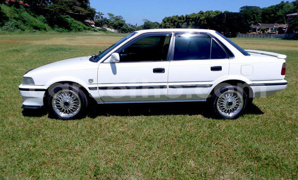 اشتري مستعمل Toyota Corolla White سيارة في Maseru في Maseru اشتري مستعمل Toyota Corolla White سيارة في Maseru في Maseru