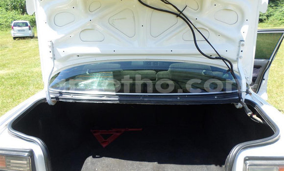 اشتري مستعمل Toyota Corolla White سيارة في Maseru في Maseru اشتري مستعمل Toyota Corolla White سيارة في Maseru في Maseru