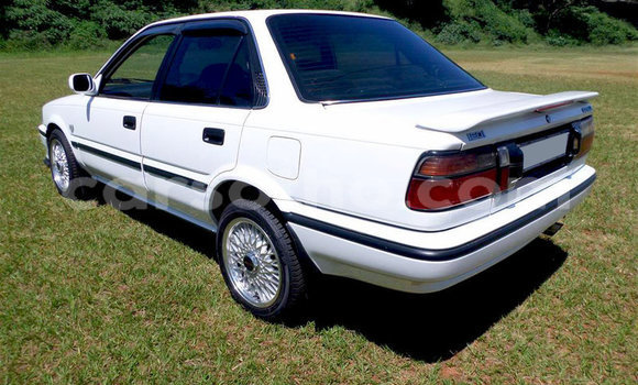 اشتري مستعمل Toyota Corolla White سيارة في Maseru في Maseru اشتري مستعمل Toyota Corolla White سيارة في Maseru في Maseru