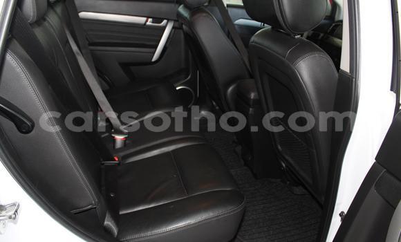 Acheter Occasion Voiture Chevrolet Captiva Blanc à Maputsoa, Leribe Acheter Occasion Voiture Chevrolet Captiva Blanc à Maputsoa, Leribe