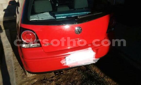 Acheter Occasion Voiture Volkswagen Polo Rouge à Maseru, Maseru Acheter Occasion Voiture Volkswagen Polo Rouge à Maseru, Maseru
