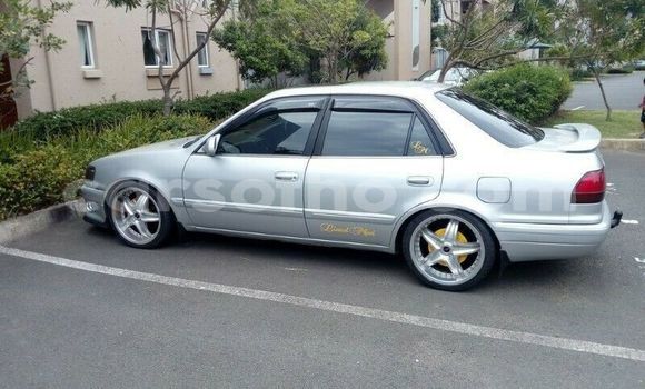 Buy Used Toyota Corolla Silver Car in Mohale's Hoek in Mohale's Hoek Buy Used Toyota Corolla Silver Car in Mohale's Hoek in Mohale's Hoek