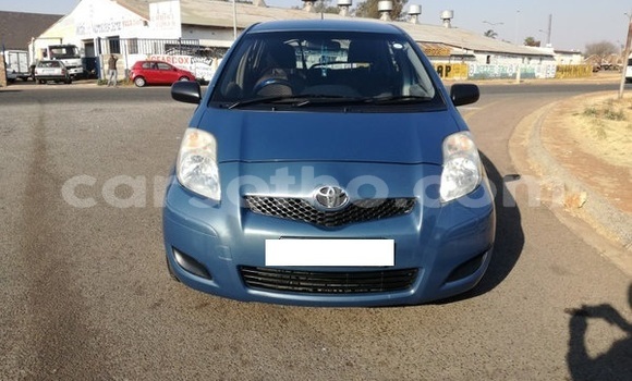 Buy Used Toyota Yaris Blue Car in Mafeteng in Mafeteng Buy Used Toyota Yaris Blue Car in Mafeteng in Mafeteng