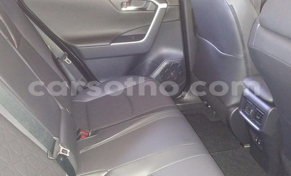 Sayi Na hannu Toyota RAV4 Other Mota in Hlotse a Leribe Sayi Na hannu Toyota RAV4 Other Mota in Hlotse a Leribe