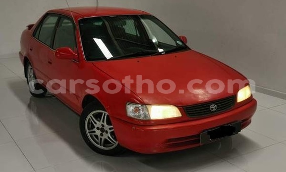 اشتري مستعمل Toyota Corolla Red سيارة في Mafeteng في Mafeteng اشتري مستعمل Toyota Corolla Red سيارة في Mafeteng في Mafeteng