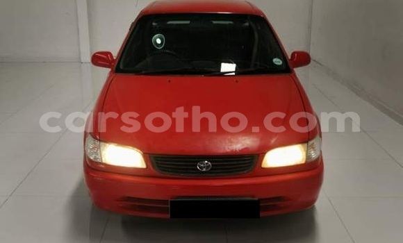 اشتري مستعمل Toyota Corolla Red سيارة في Mafeteng في Mafeteng اشتري مستعمل Toyota Corolla Red سيارة في Mafeteng في Mafeteng
