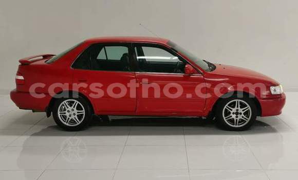 اشتري مستعمل Toyota Corolla Red سيارة في Mafeteng في Mafeteng اشتري مستعمل Toyota Corolla Red سيارة في Mafeteng في Mafeteng