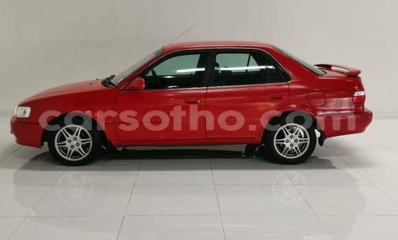 اشتري مستعمل Toyota Corolla Red سيارة في Mafeteng في Mafeteng اشتري مستعمل Toyota Corolla Red سيارة في Mafeteng في Mafeteng