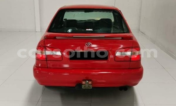 اشتري مستعمل Toyota Corolla Red سيارة في Mafeteng في Mafeteng اشتري مستعمل Toyota Corolla Red سيارة في Mafeteng في Mafeteng