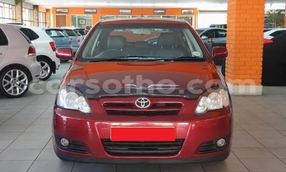 Acheter Occasion Voiture Toyota Runx Rouge à Hlotse, Leribe Acheter Occasion Voiture Toyota Runx Rouge à Hlotse, Leribe