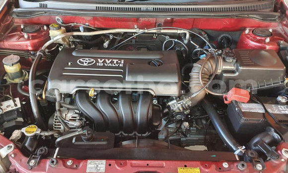 Acheter Occasion Voiture Toyota Runx Rouge à Hlotse, Leribe Acheter Occasion Voiture Toyota Runx Rouge à Hlotse, Leribe