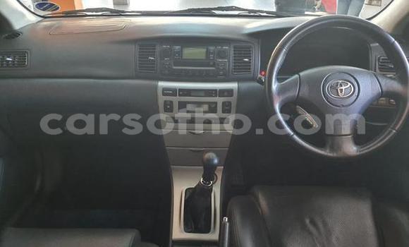 Acheter Occasion Voiture Toyota Runx Rouge à Hlotse, Leribe Acheter Occasion Voiture Toyota Runx Rouge à Hlotse, Leribe