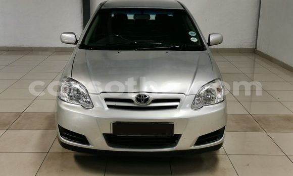 Acheter Occasion Voiture Toyota Runx Gris à Maseru, Maseru Acheter Occasion Voiture Toyota Runx Gris à Maseru, Maseru