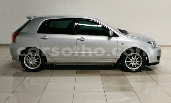 Acheter Occasion Voiture Toyota Runx Gris à Maseru, Maseru Acheter Occasion Voiture Toyota Runx Gris à Maseru, Maseru