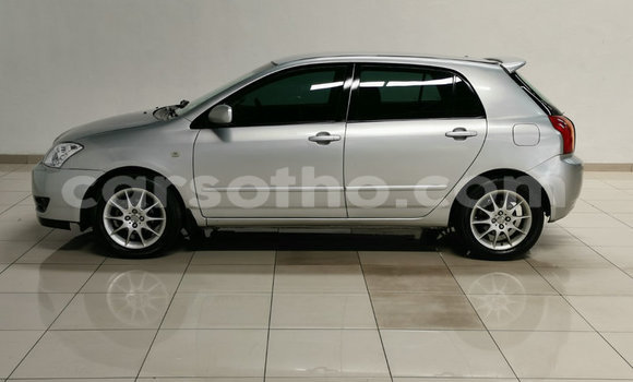 Acheter Occasion Voiture Toyota Runx Gris à Maseru, Maseru Acheter Occasion Voiture Toyota Runx Gris à Maseru, Maseru