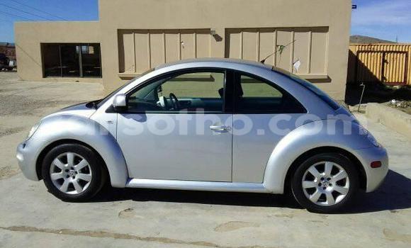 Sayi Na hannu Volkswagen Beetle Silver Mota in Maseru a Maseru Sayi Na hannu Volkswagen Beetle Silver Mota in Maseru a Maseru