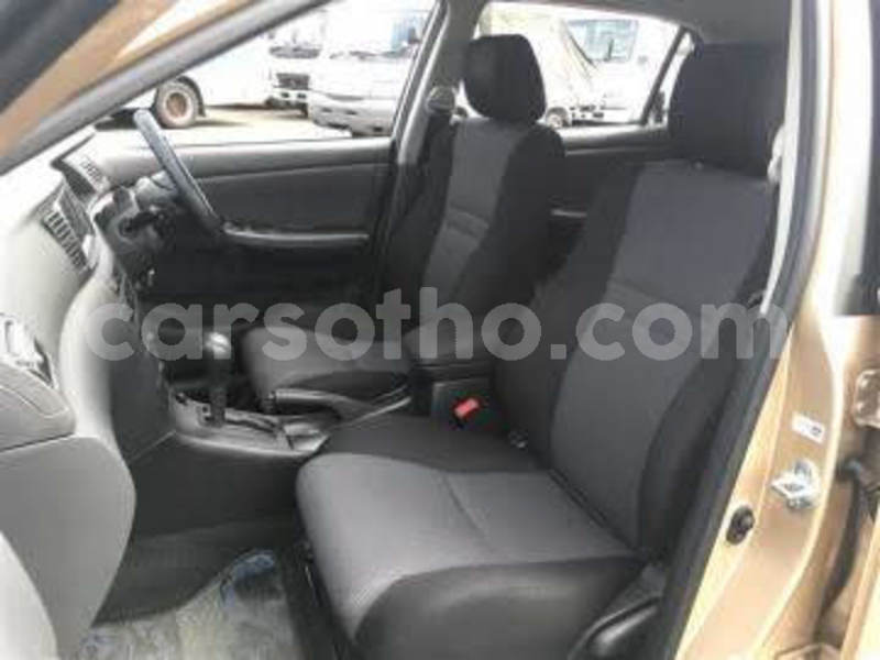 Big with watermark 11