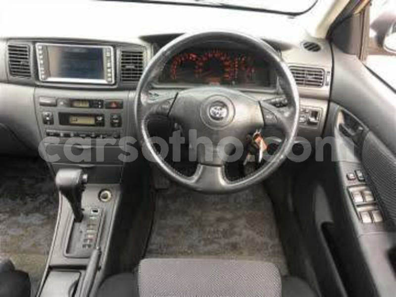 Big with watermark 14
