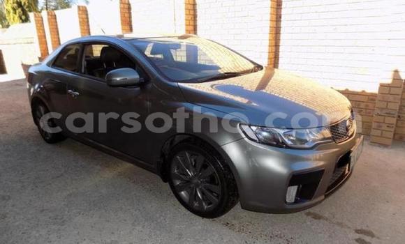 Acheter Occasion Voiture Kia Cerato Autre à Maputsoe, Leribe Acheter Occasion Voiture Kia Cerato Autre à Maputsoe, Leribe