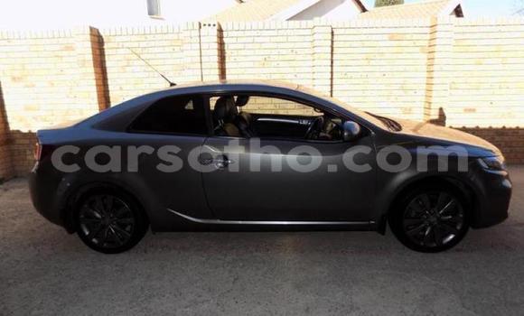 Acheter Occasion Voiture Kia Cerato Autre à Maputsoe, Leribe Acheter Occasion Voiture Kia Cerato Autre à Maputsoe, Leribe