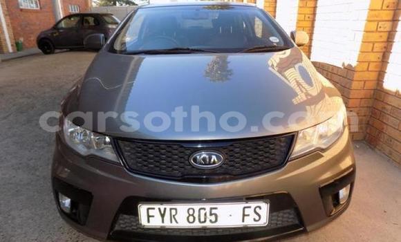 Acheter Occasion Voiture Kia Cerato Autre à Maputsoe, Leribe Acheter Occasion Voiture Kia Cerato Autre à Maputsoe, Leribe
