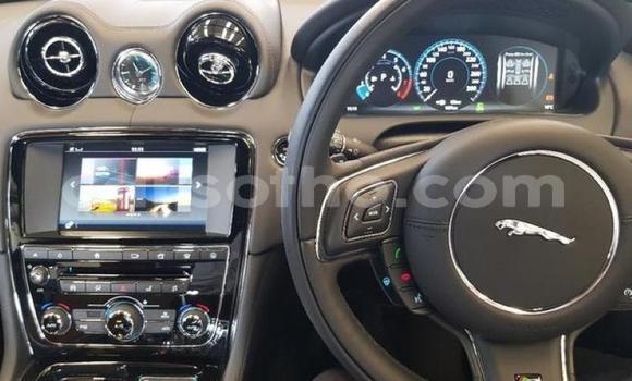 اشتري مستعمل Jaguar XJR Black سيارة في Maseru في Maseru اشتري مستعمل Jaguar XJR Black سيارة في Maseru في Maseru