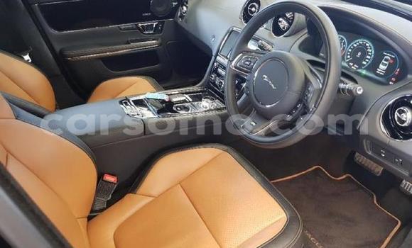 اشتري مستعمل Jaguar XJR Black سيارة في Maseru في Maseru اشتري مستعمل Jaguar XJR Black سيارة في Maseru في Maseru