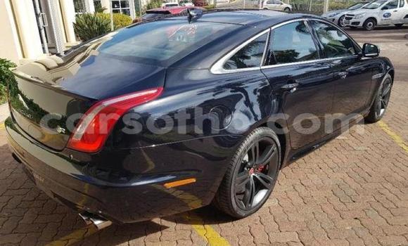 اشتري مستعمل Jaguar XJR Black سيارة في Maseru في Maseru اشتري مستعمل Jaguar XJR Black سيارة في Maseru في Maseru