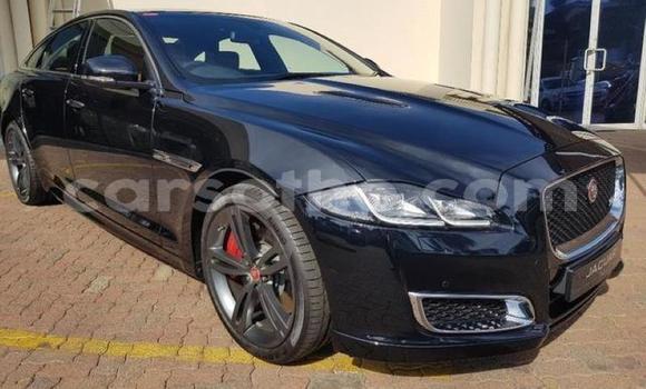 اشتري مستعمل Jaguar XJR Black سيارة في Maseru في Maseru اشتري مستعمل Jaguar XJR Black سيارة في Maseru في Maseru