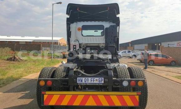 Buy Used Isuzu FTR 850 White Truck in Hlotse in Leribe Buy Used Isuzu FTR 850 White Truck in Hlotse in Leribe