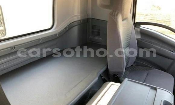 Acheter Occasion Utilitaire Isuzu FTR 850 Blanc à Hlotse, Leribe Acheter Occasion Utilitaire Isuzu FTR 850 Blanc à Hlotse, Leribe