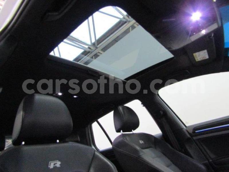 Big with watermark crop800x600.jpeg 50