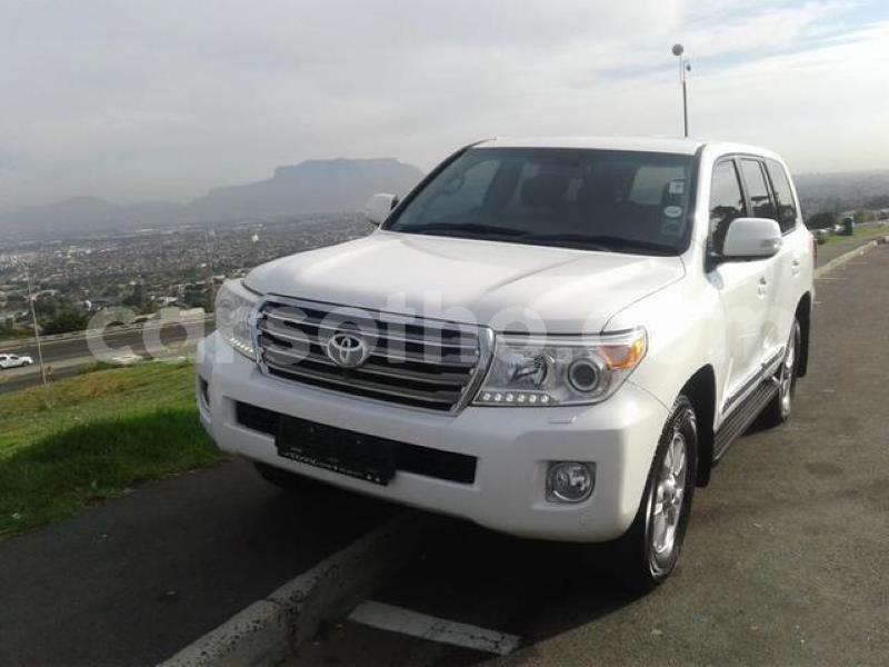 Big with watermark crop800x600.jpeg 54