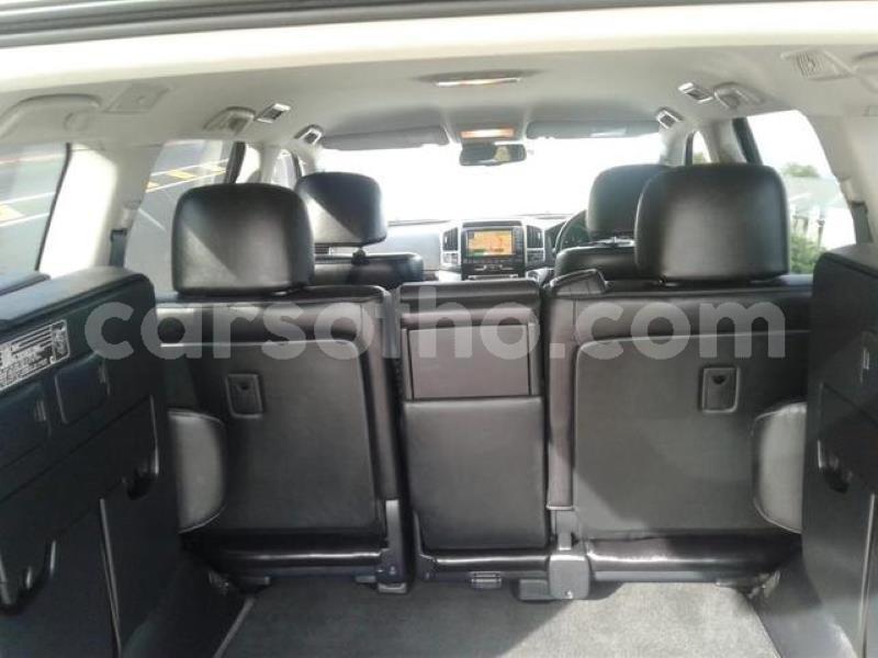 Big with watermark crop800x600.jpeg 67