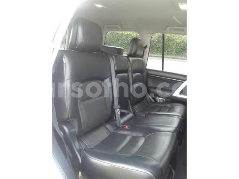 Big with watermark crop800x600.jpeg 66