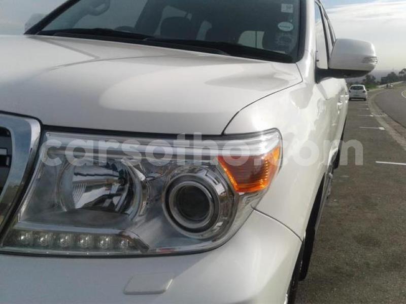 Big with watermark crop800x600.jpeg 64