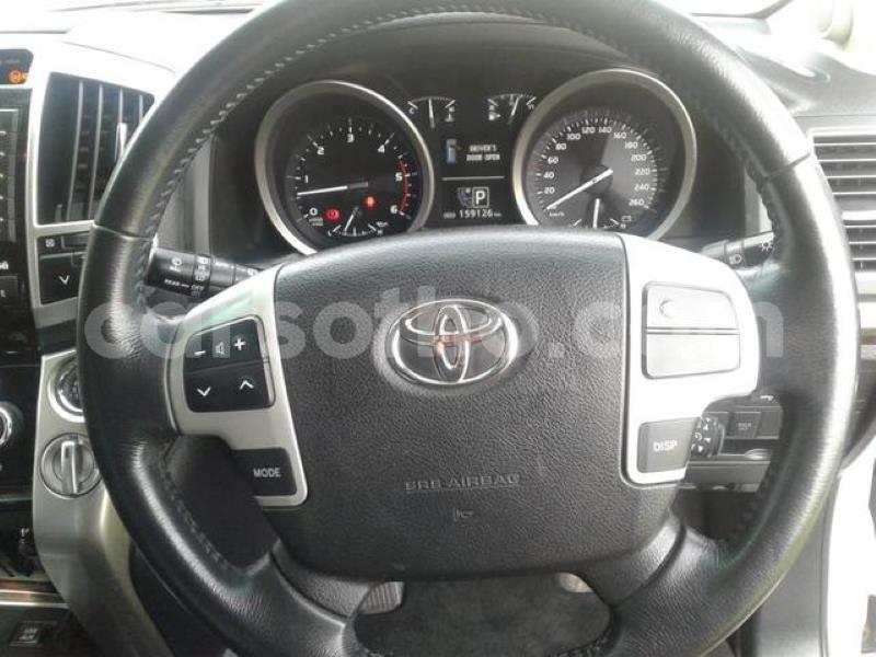 Big with watermark crop800x600.jpeg 62