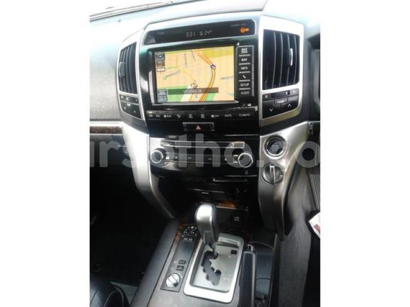 Big with watermark crop800x600.jpeg 61