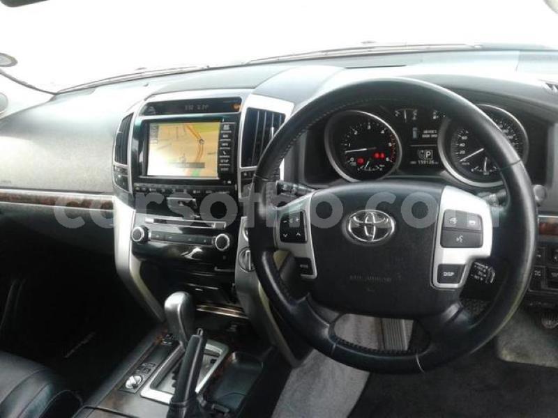 Big with watermark crop800x600.jpeg 60