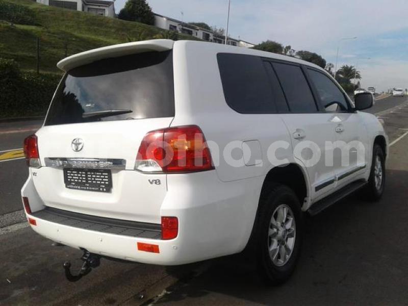 Big with watermark crop800x600.jpeg 59