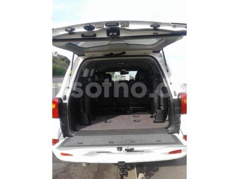 Big with watermark crop800x600.jpeg 58