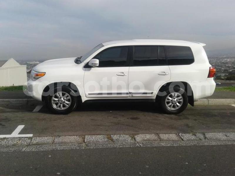 Big with watermark crop800x600.jpeg 56