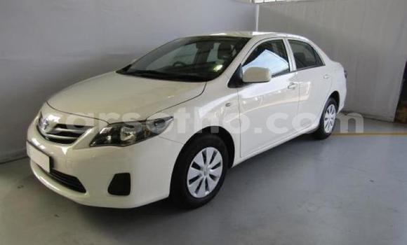 Buy Used Toyota Corolla White Car in Maputsoe in Leribe Buy Used Toyota Corolla White Car in Maputsoe in Leribe