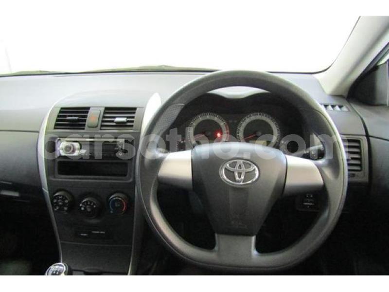 Big with watermark crop800x600.jpeg 81