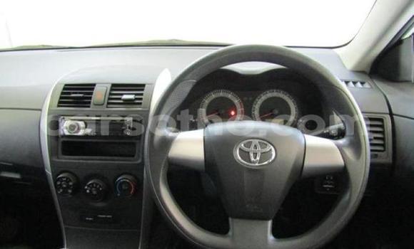 Buy Used Toyota Corolla White Car in Maputsoe in Leribe Buy Used Toyota Corolla White Car in Maputsoe in Leribe