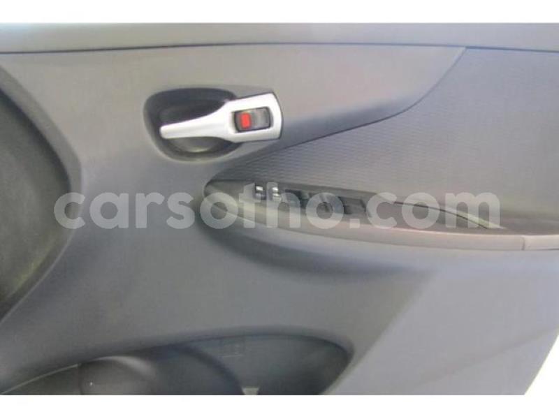 Big with watermark crop800x600.jpeg 80