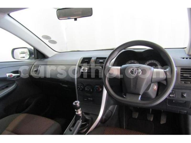 Big with watermark crop800x600.jpeg 76