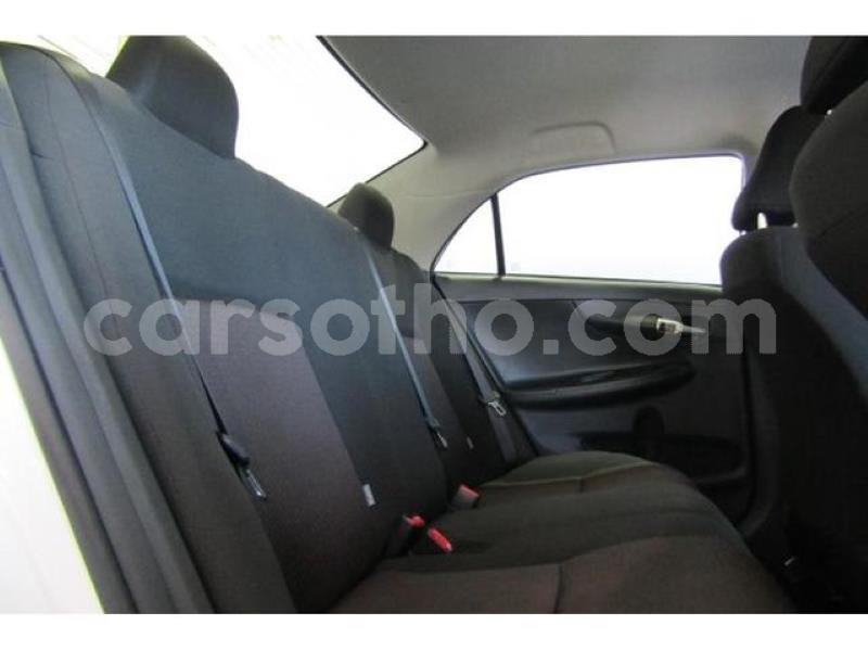 Big with watermark crop800x600.jpeg 75