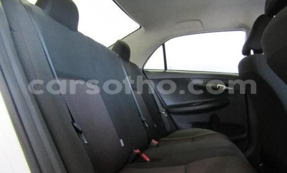 Buy Used Toyota Corolla White Car in Maputsoe in Leribe Buy Used Toyota Corolla White Car in Maputsoe in Leribe